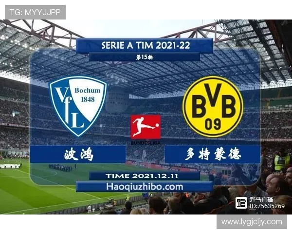 圣保利对阵波鸿精彩直播全程回顾与赛后分析尽在这里